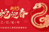 辭舊迎新，蛇舞華章丨深圳容金科技全體員工祝您新春快樂(lè)！