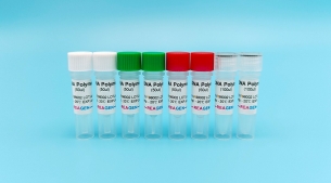 Taq DNA聚合酶<m met-id=644 met-table=product met-field=title></m>