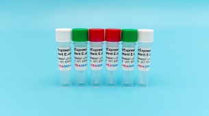 KOD DNA聚合酶<m met-id=646 met-table=product met-field=title></m>