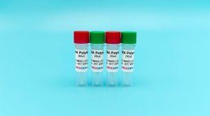 Pfu DNA 聚合酶<m met-id=645 met-table=product met-field=title></m>